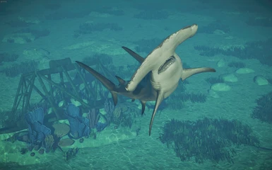  image 5 for