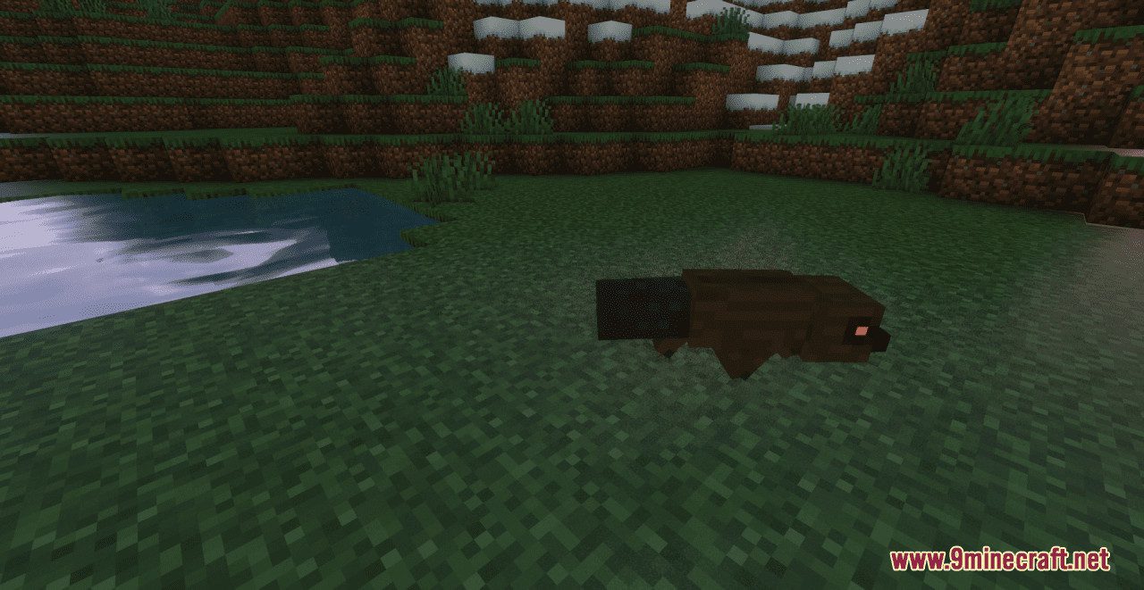 description_0 Fox Variety Resource Pack (1.19.3, 1.18.2) - текстурный пакет