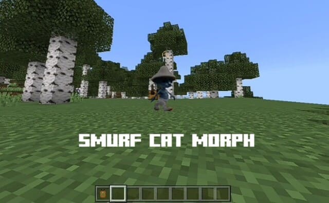 description_1 Cat Smurf.