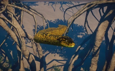 image 8 for 