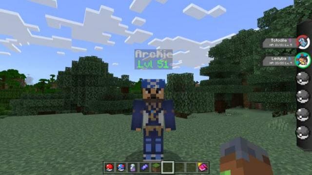 description_23 Pokébedrock