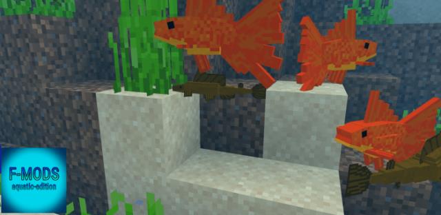 description_6 Exotic fish.