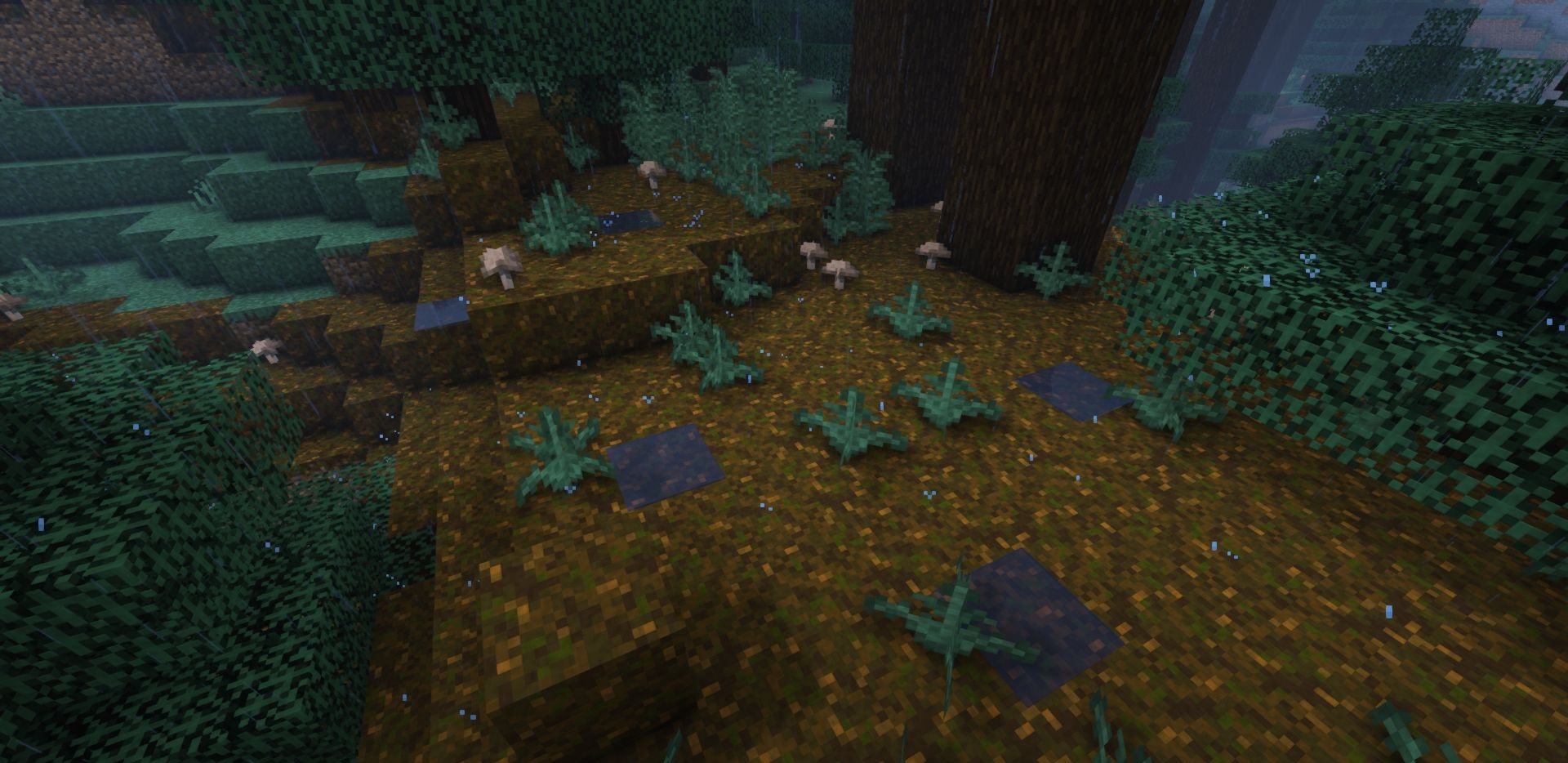 image 1 for 