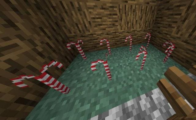 description_26 Новогоднее выживание.