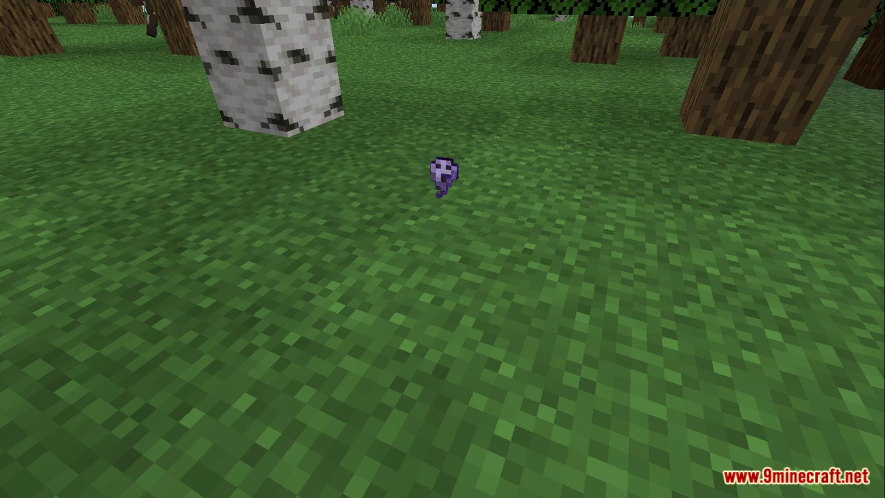 description_0 Adam's Halloween Datapack (1.20.2, 1.19.4) - Embark on a Halloween adventure!