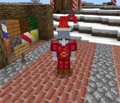 description_17 New Year's survival.