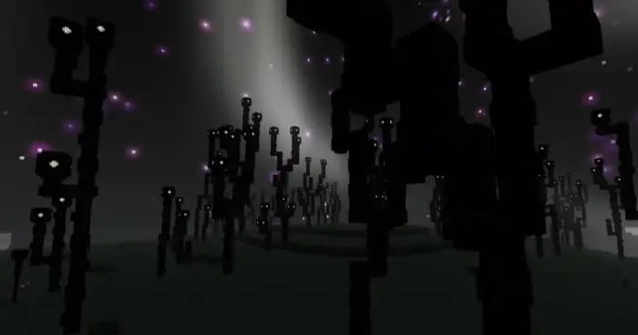 image 4 for 