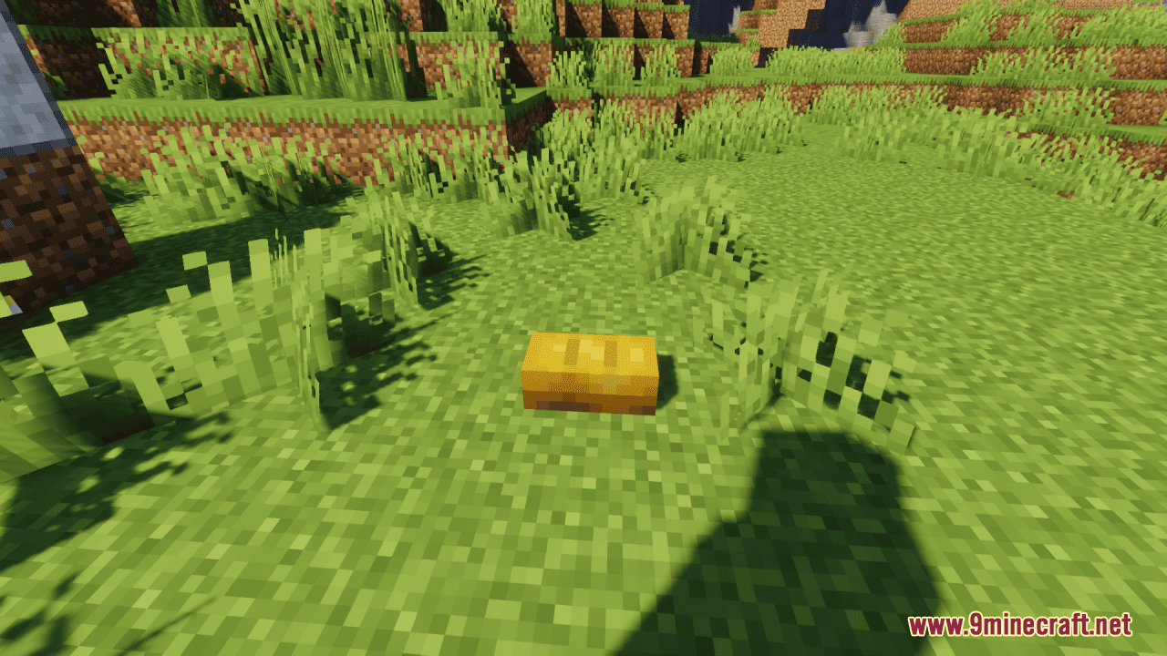description_2 Birthday Buffet Resource Pack (1.20.4, 1.19.4) - texture pack
