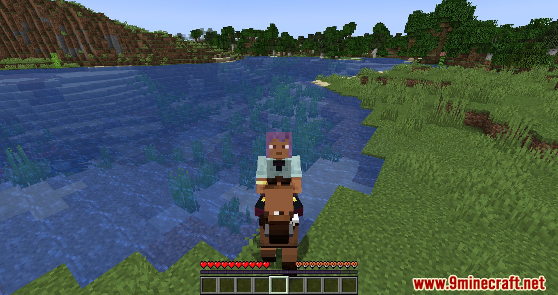 Imagen 4 para Horse Buff Mod (1.20.4) - ¡Mejor juego de caballos!