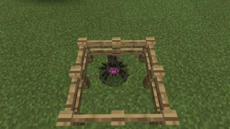 description_10 More mobs.