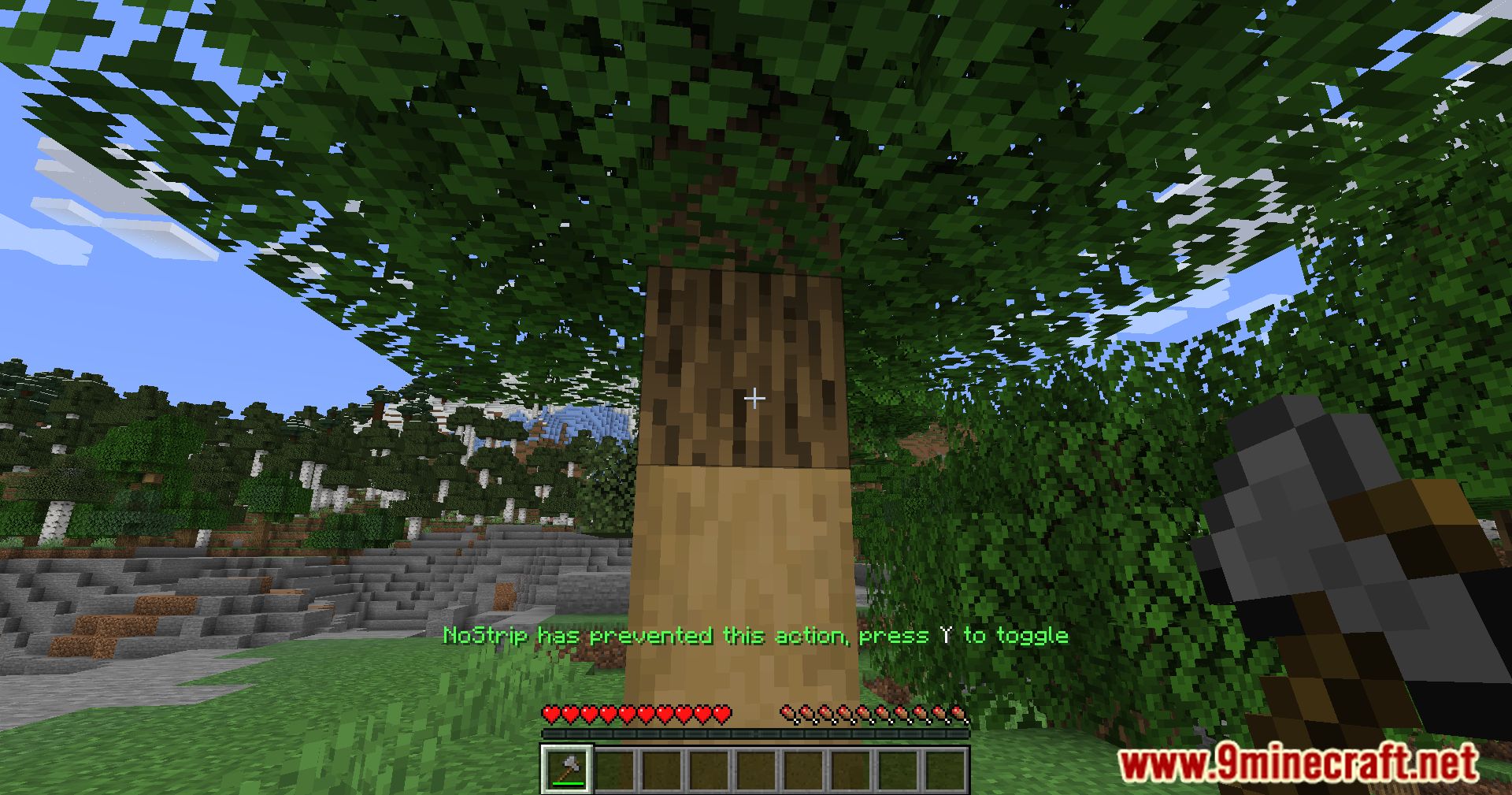image 4 for No Strip Mod (1.20.4) - Provides a natural look