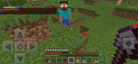 description_20 Herobrine.