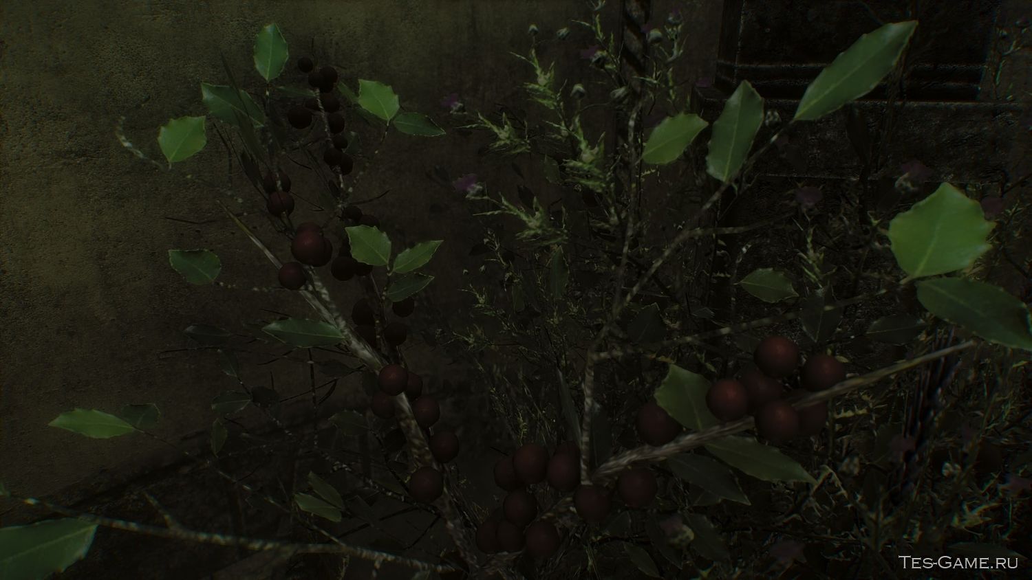 description_1 3D Snowberries SE - Снежные Ягоды 3D SE
