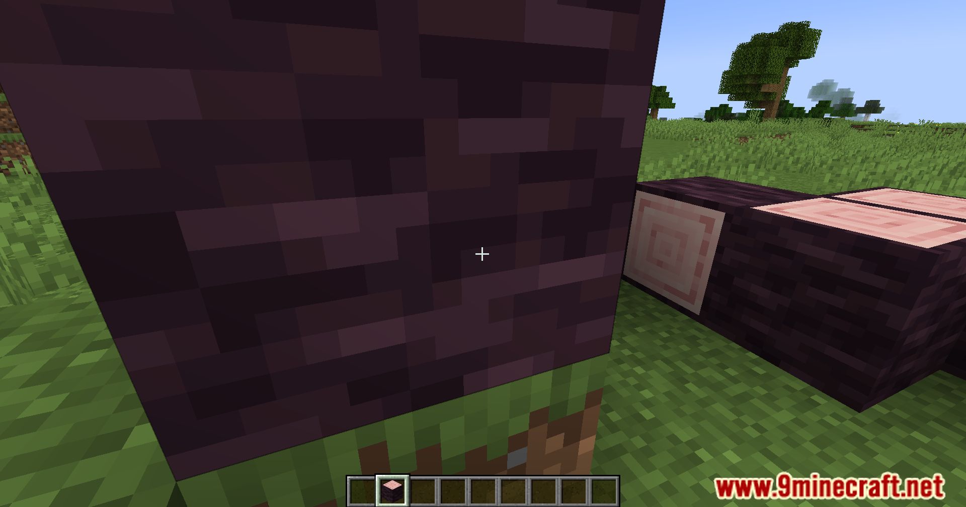 description_4 Accurate Block Placement Reborn Mod - precision in every click.