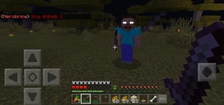 description_14 Herobrine.