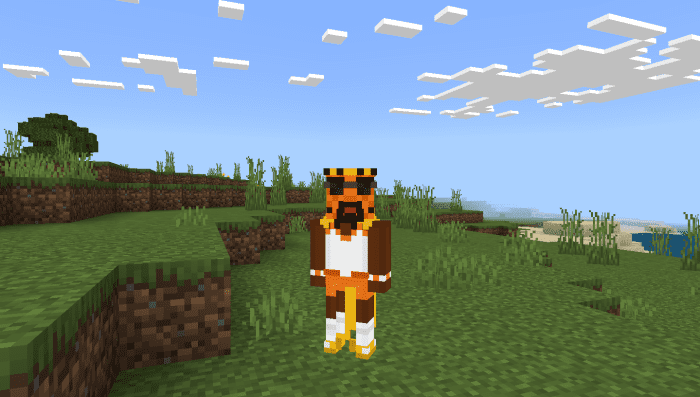 image 6 for Conjunto de vestuario para el espectáculo regular (1.19) - MCPE/Bedrock