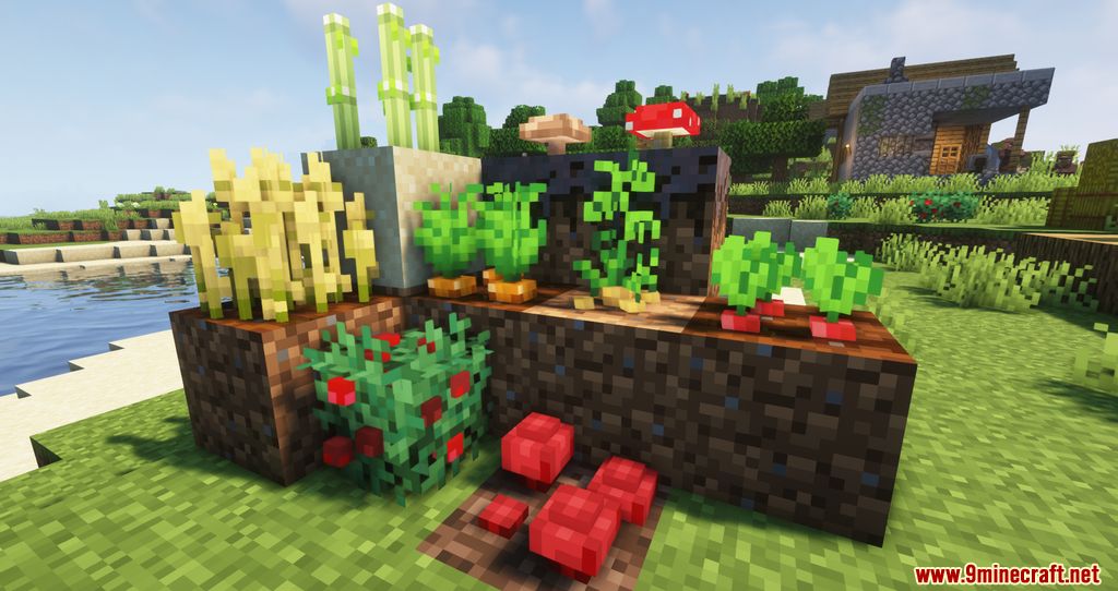 description_5 Crops 3D Resource Pack (1.19.4, 1.19.2 пакет текстур