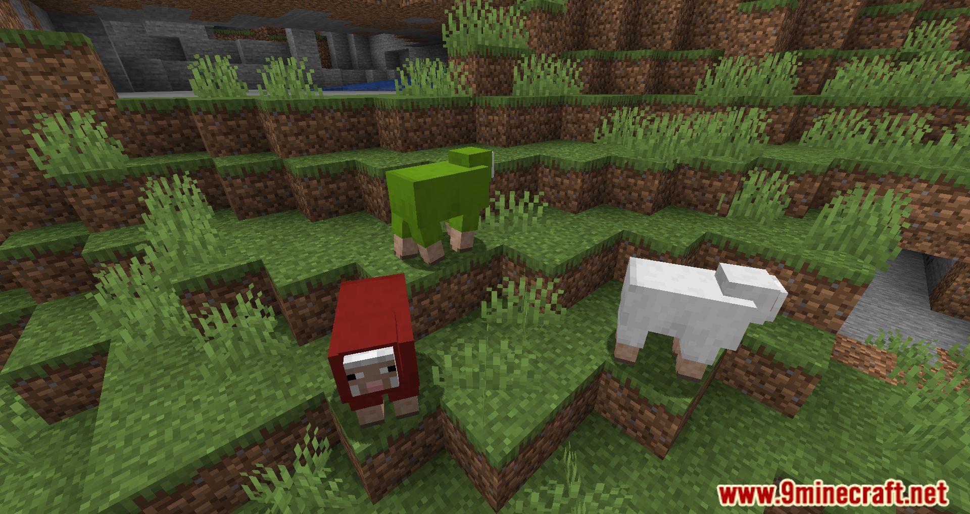 description_7 Random Sheep Colours Mod 1.20.4 - добавьте ярких красок в ваше стадо