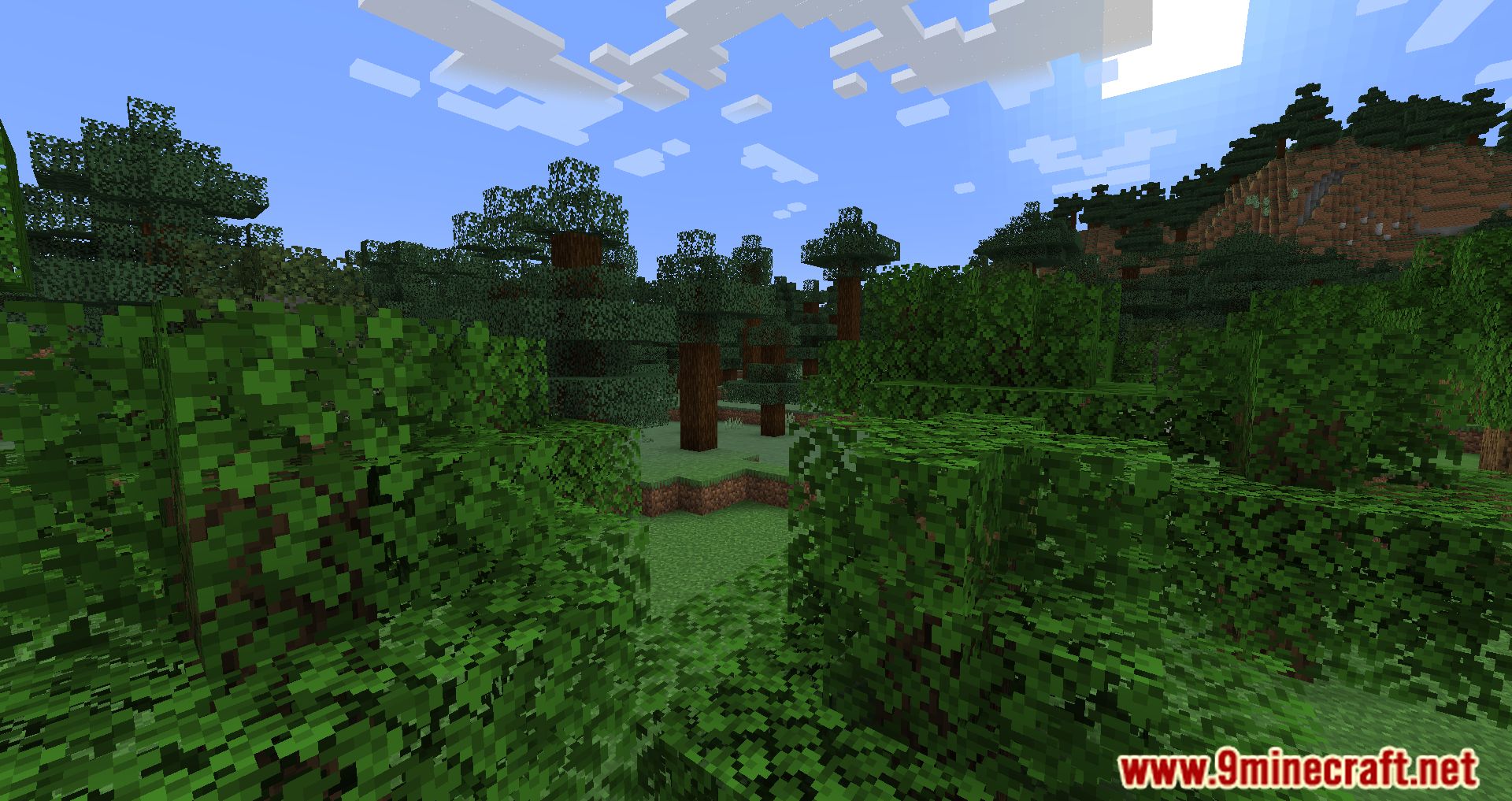 description_3 Cull Less Leaves Reforged Mod (1.20.2) - Melhora o visual e o desempenho da sua Minecraft.