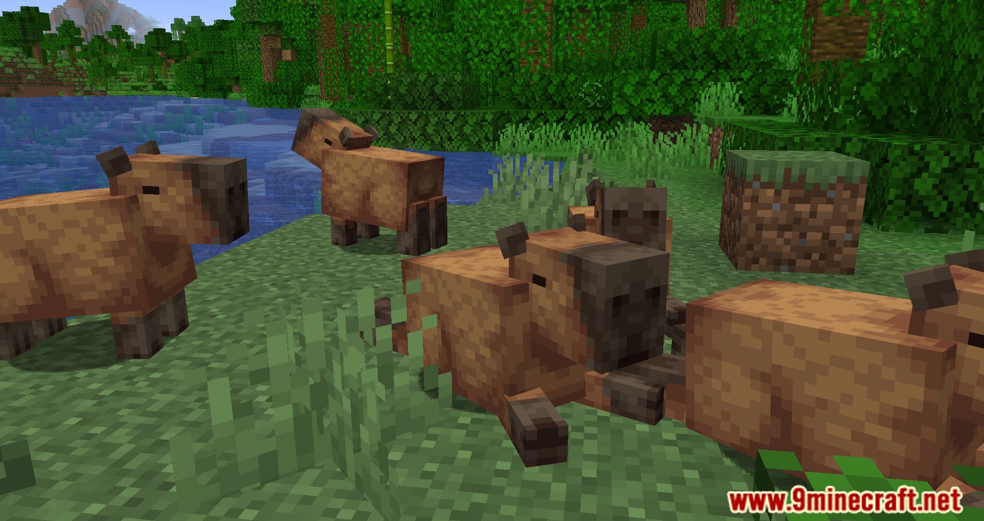 description_8 Capybara Mod 1.20.2 - Новые существа в джунглях