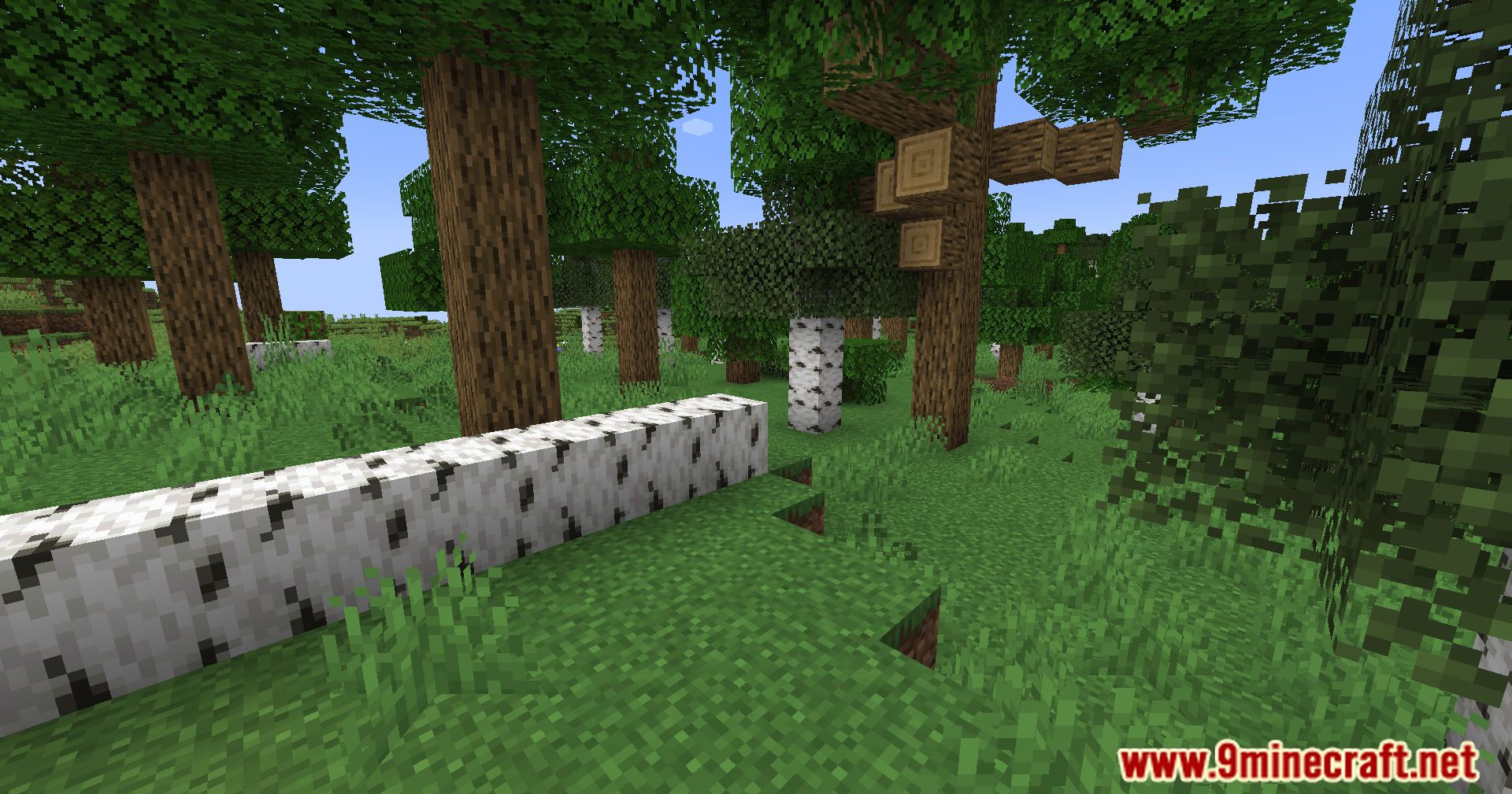 description_3 Geophilic Reforged Mod - an improved overworld biome with subtle improvements!
