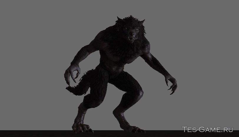 description_1 Wicked Werewolves - Werewolves SE replayer