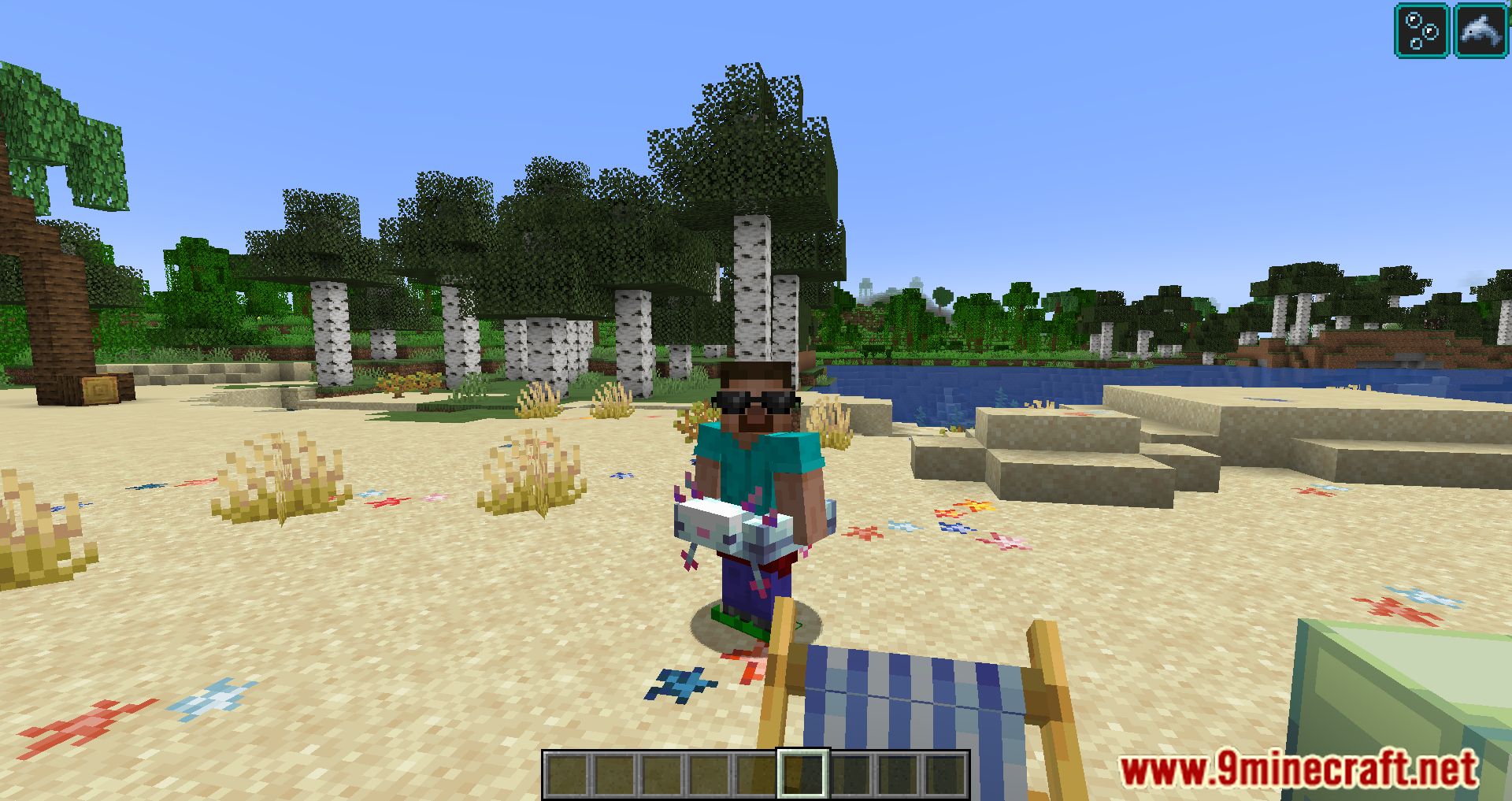 description_6 Beach Party Mod - Turn Minecraft into a Tropical Paradise