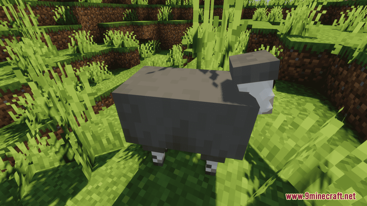 description_5 Better Sheep Resource Pack (1.20.4, 1.19.4) - texture pack
