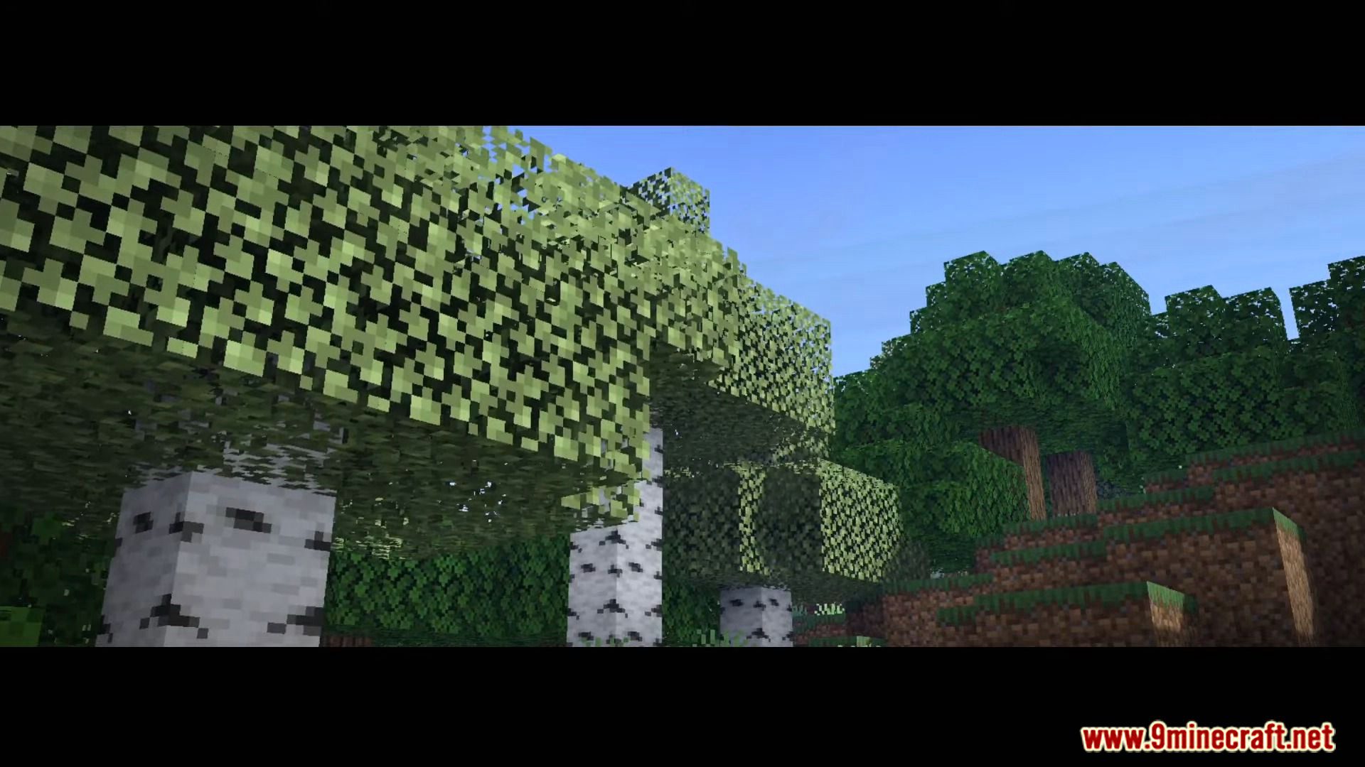 image 2 for Continuum Shader (1.19) - supports dragon rendering.