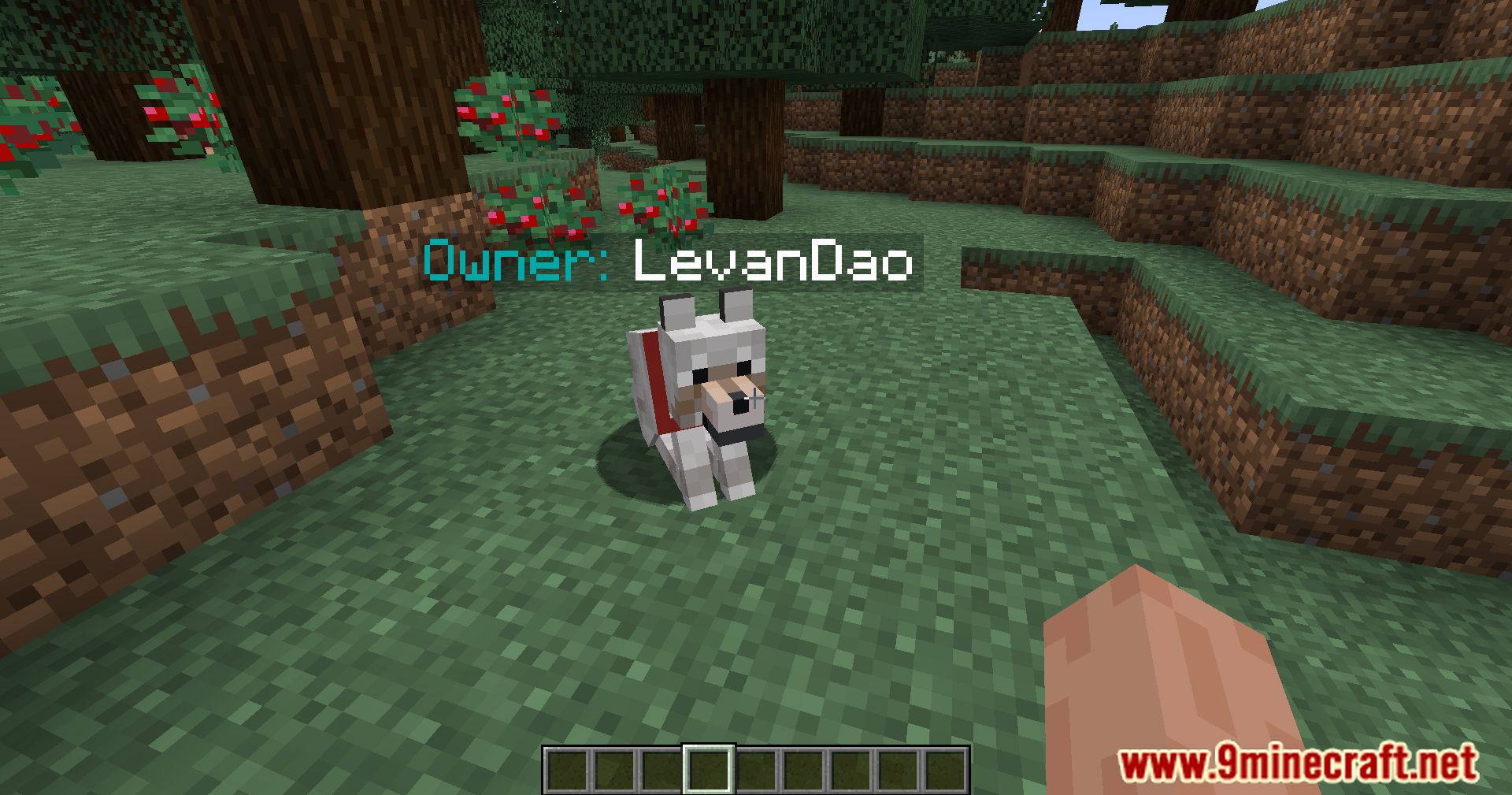 description_3 Pet Owner Mod 1.20.4 - identificar a los dueños de mascotas de un vistazo