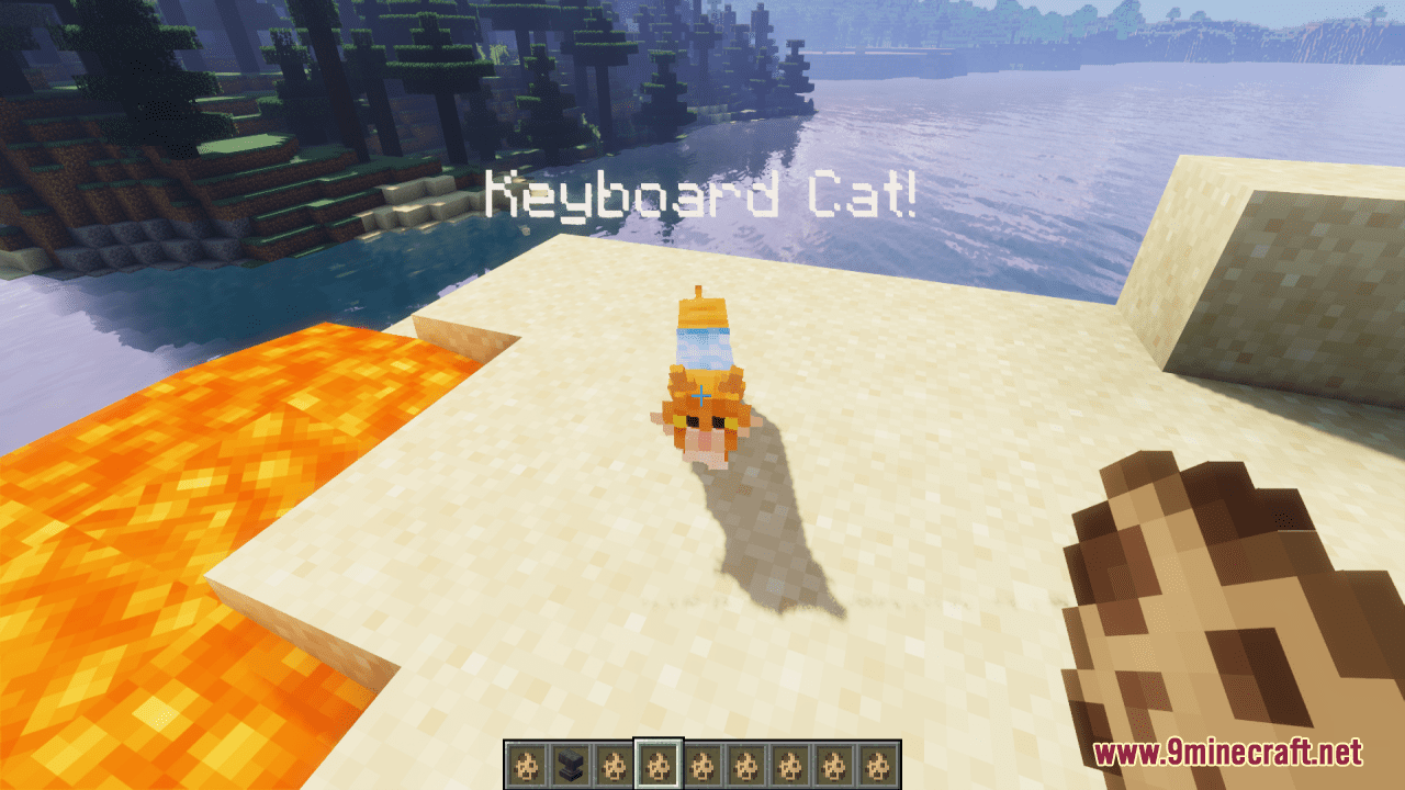 description_3 Meow Society Resource Pack (1.19.4, 1.19.2) - Пакет текстур