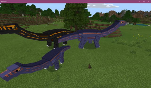 description_33 Prehistoric rift.