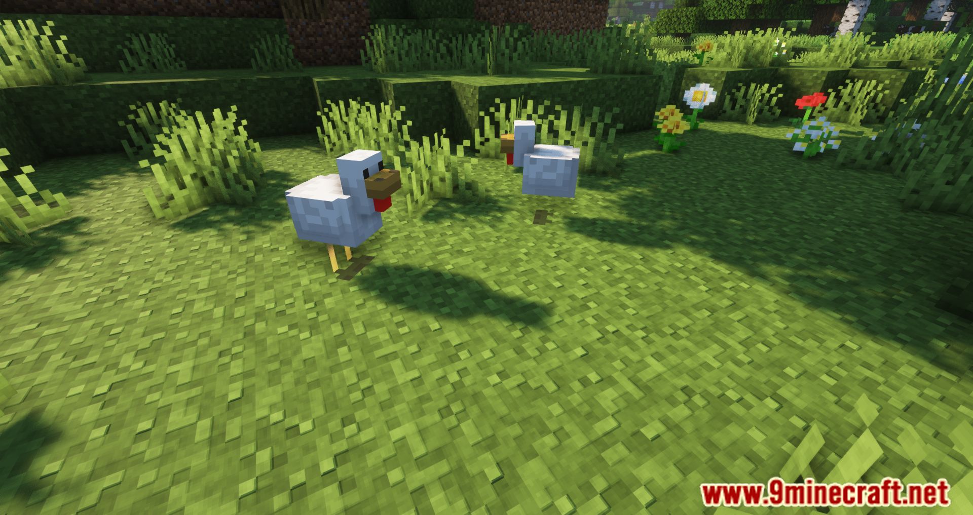 description_4 Despawning Eggs Hatch Mod - Chickens are born from dropped eggs.