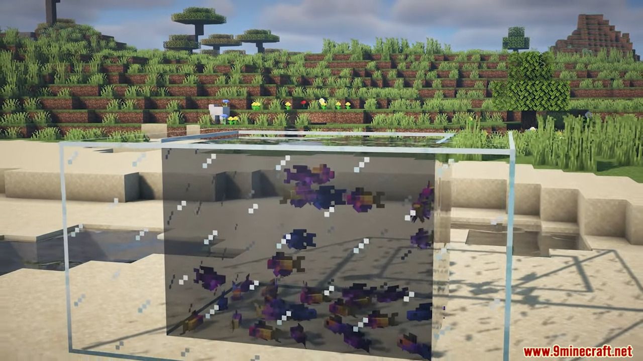 description_4 Rainbow Reef Mod (1.20.1) - 79+ dazzling fish