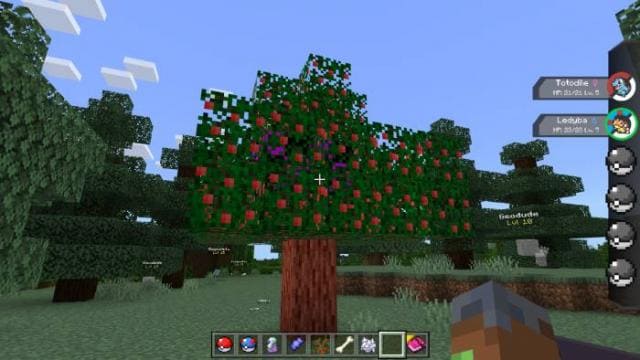 description_26 Pokébedrock