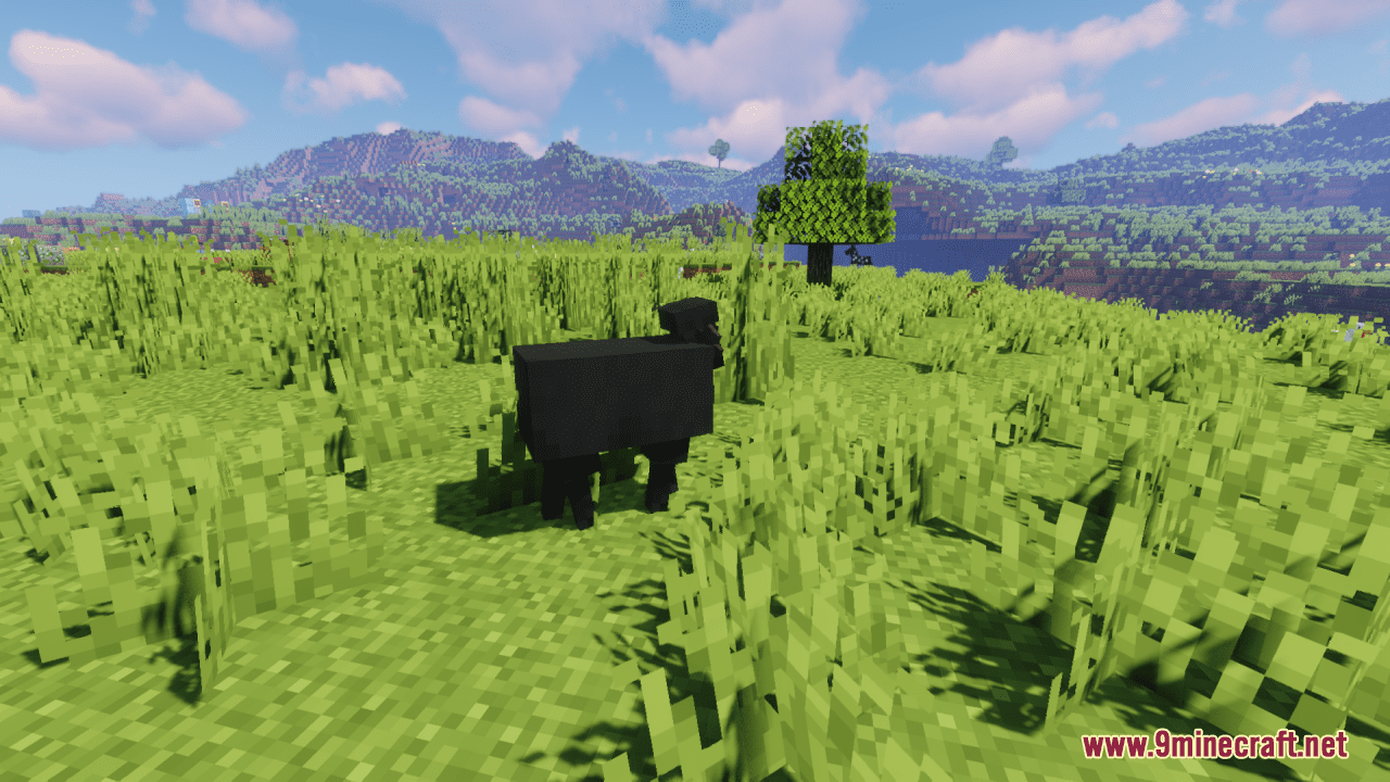 description_8 Better Sheep Resource Pack (1.20.4, 1.19.4) - texture pack