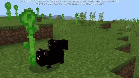 description_8 Mod: Hamster.