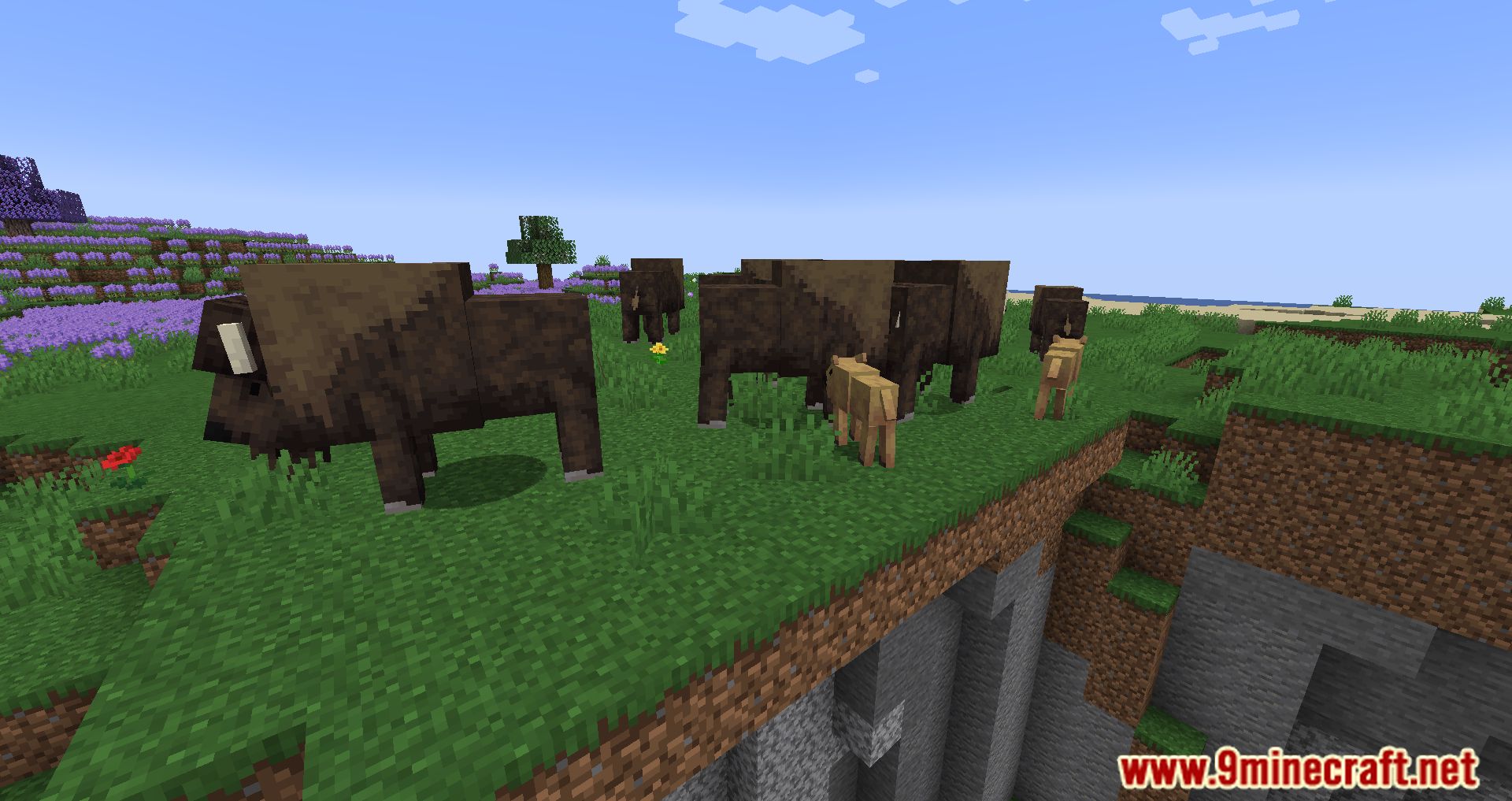 description_21 Mod Pack ligeramente aromatizado - Escucha el viento y la aventura.