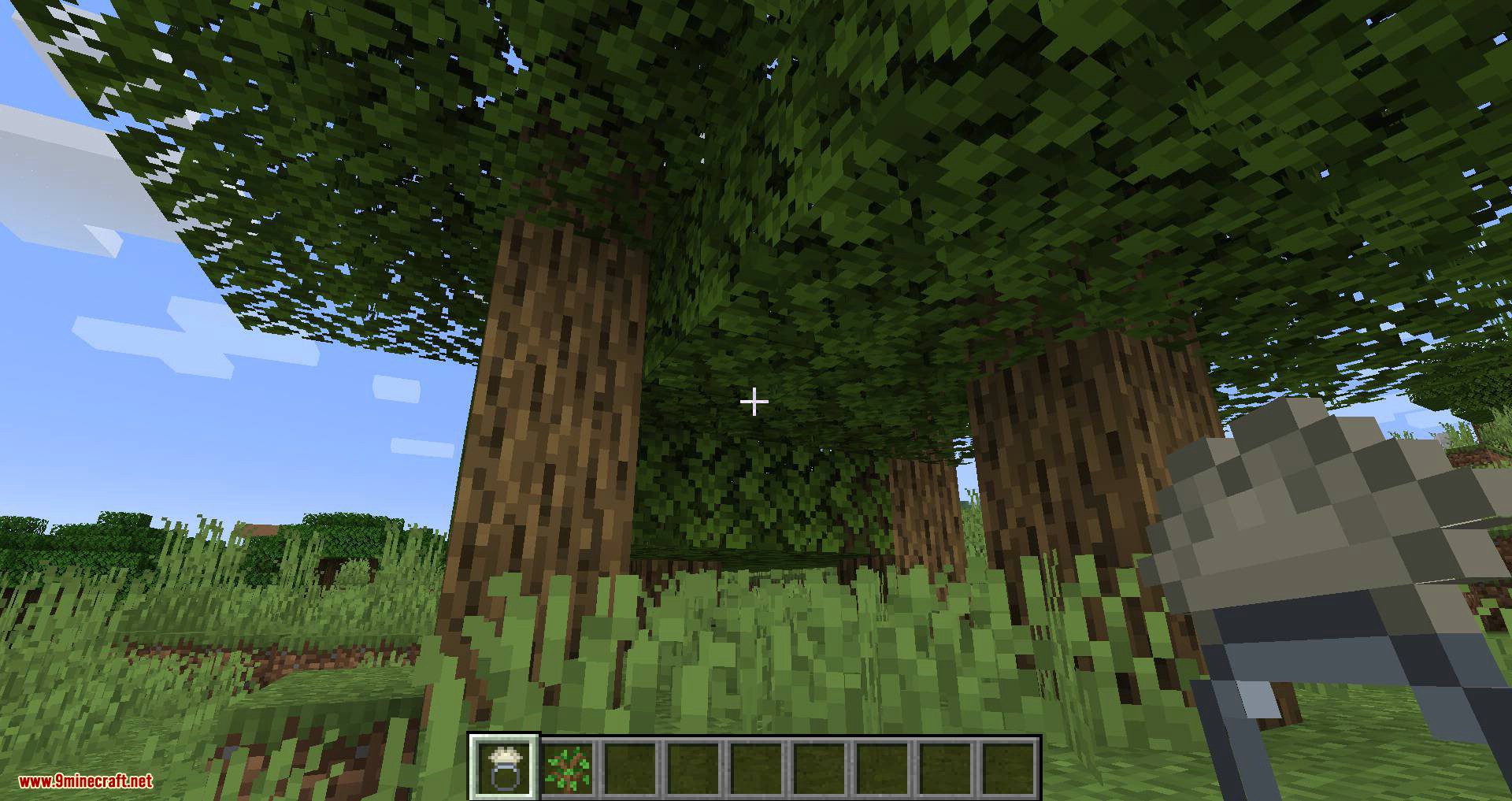 image 3 for Growth Ring Mode (1.20.5) - accelerated growth.