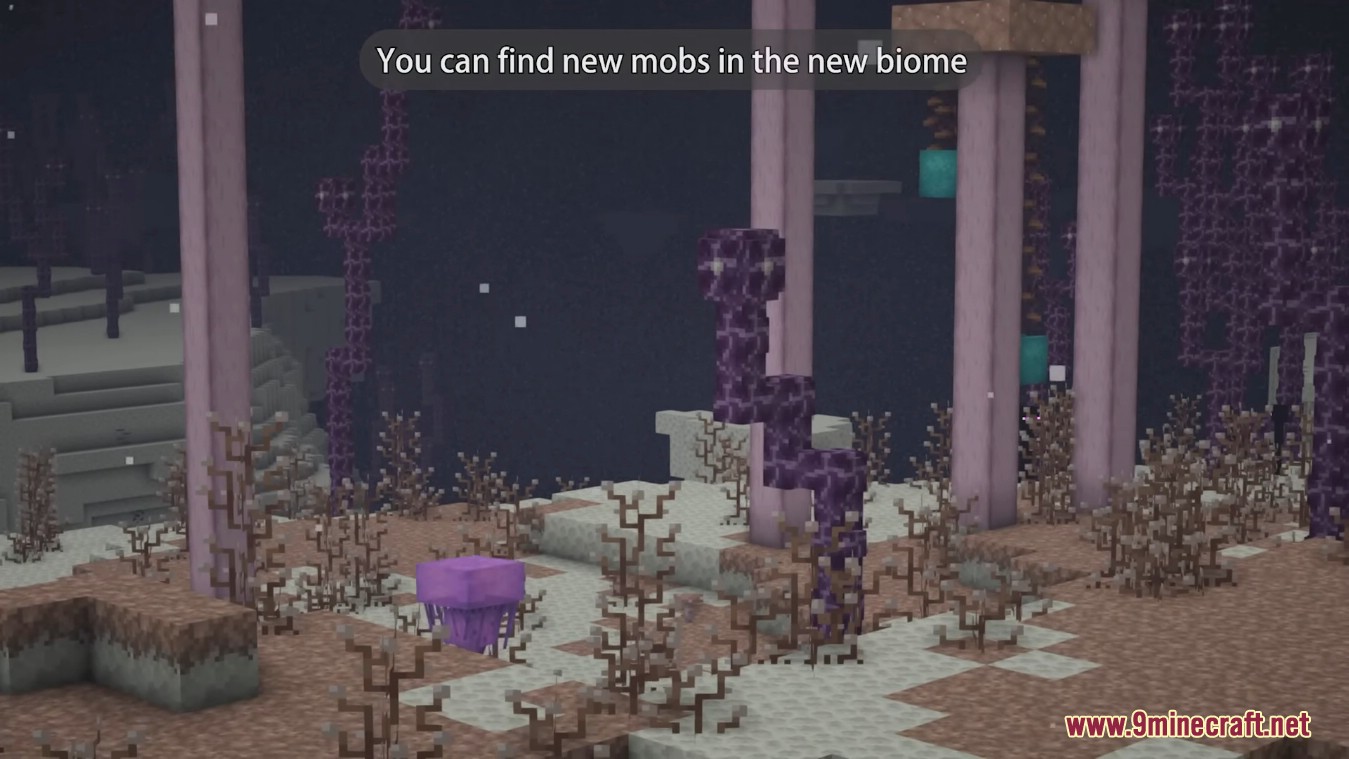 description_5 Enderscape Mod 1.19.2 - Qué hay de nuevo en Enderscape