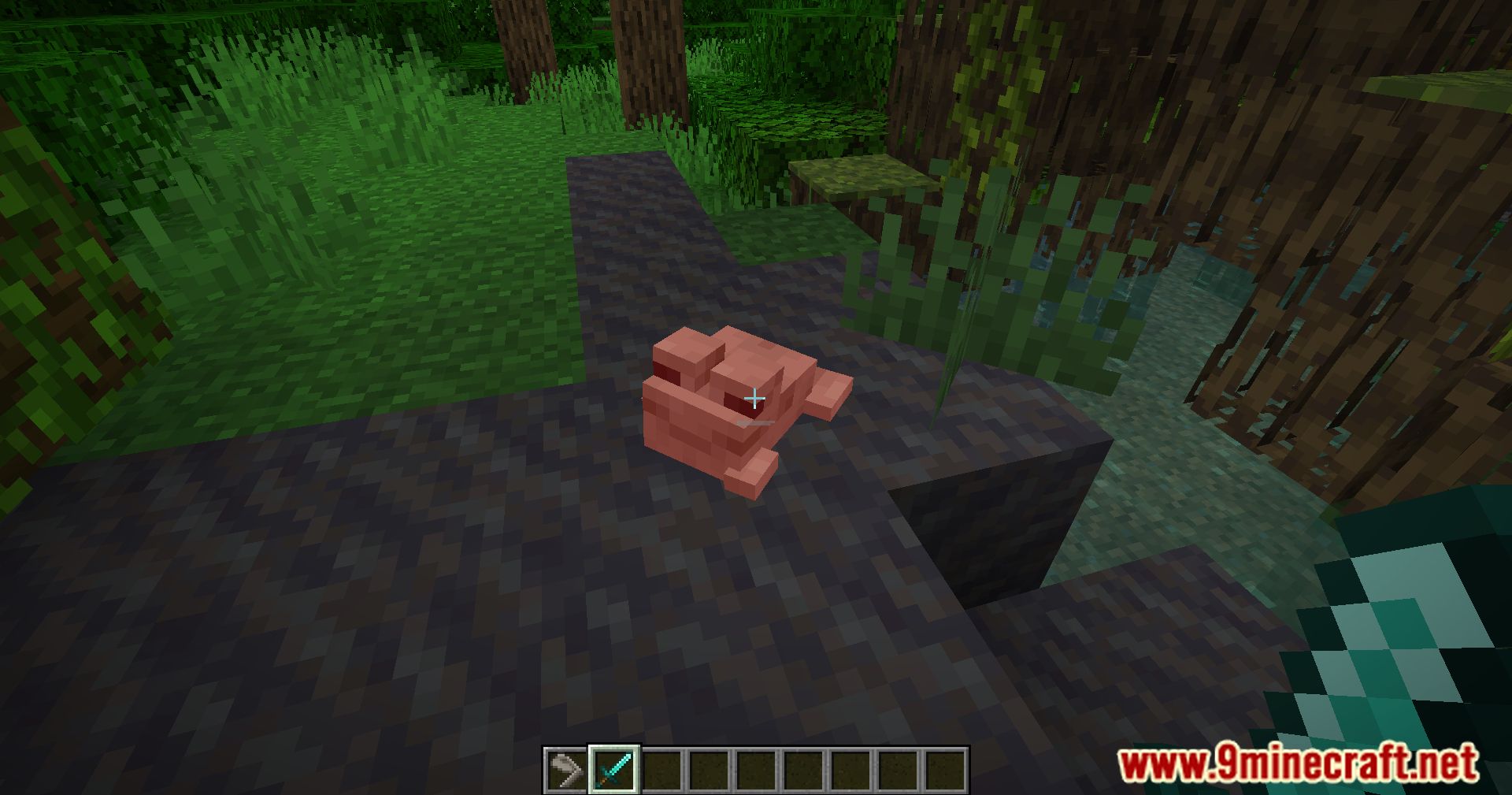 description_4 Frog Legs Mod (1.20.4) - Plunge into a new culinary adventure!