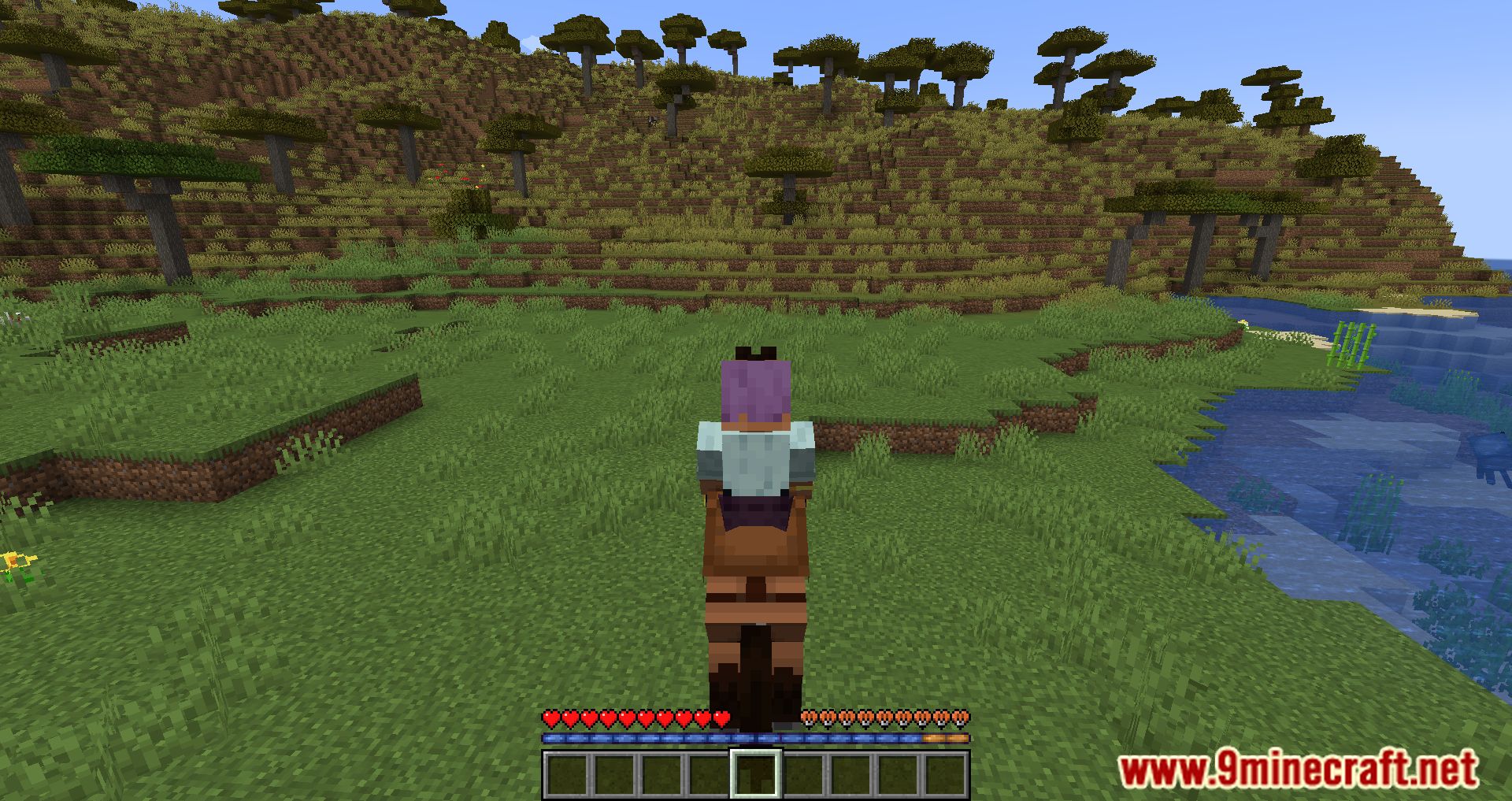 Imagen 3 para Horse Buff Mod (1.20.4) - Juego de caballos mejorado!