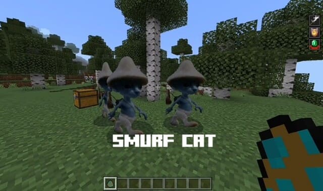 description_2 Cat Smurf.
