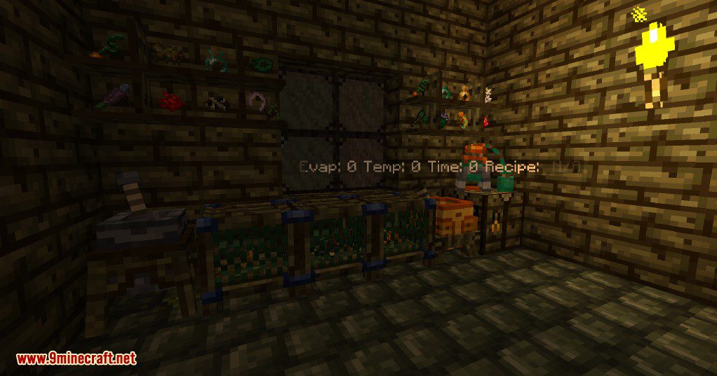 description_69 The Betweenlands Mod (1.12.2) - Странный новый мир