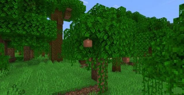 description_1 Pokecraft.