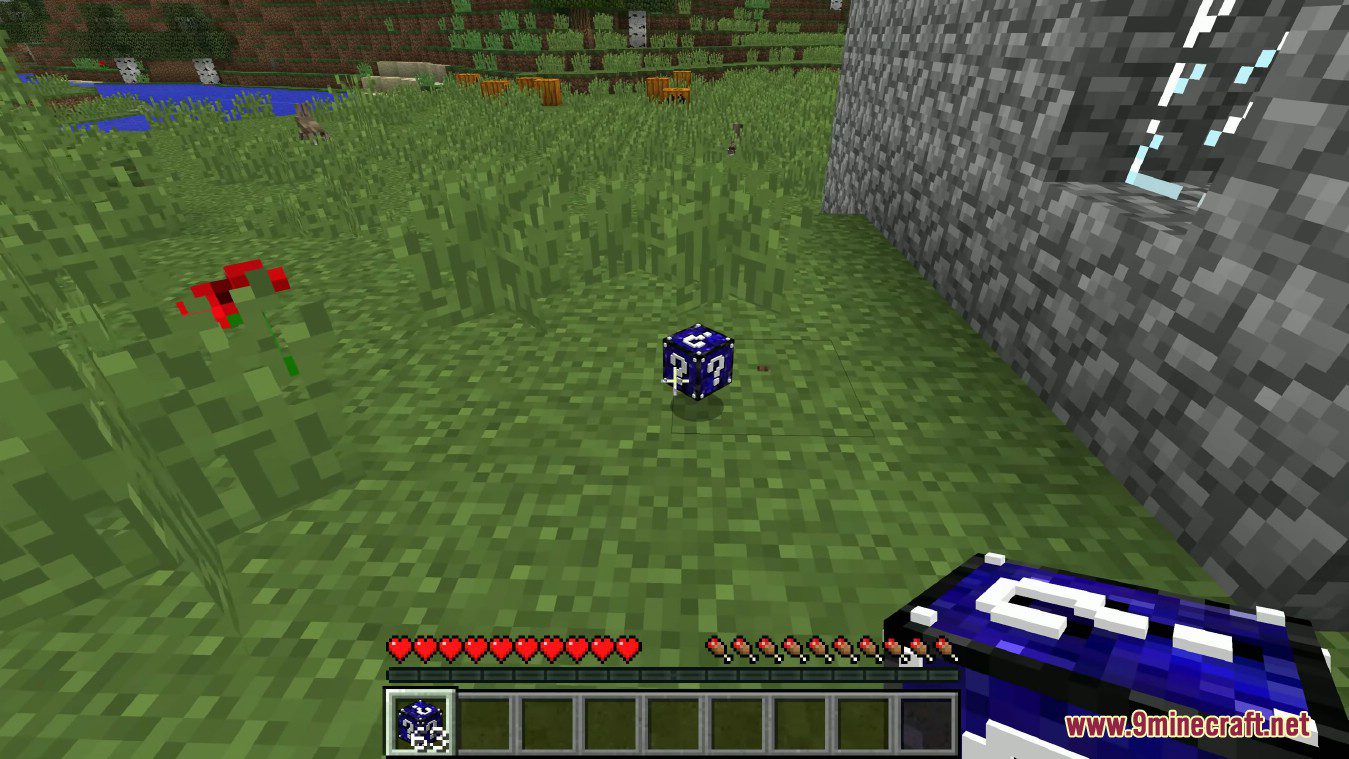 description_0 Life Lucky Block Mod (1.8.9) - Супер VIP выпадение предметов