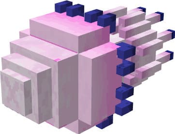 description_0 Морские существа,