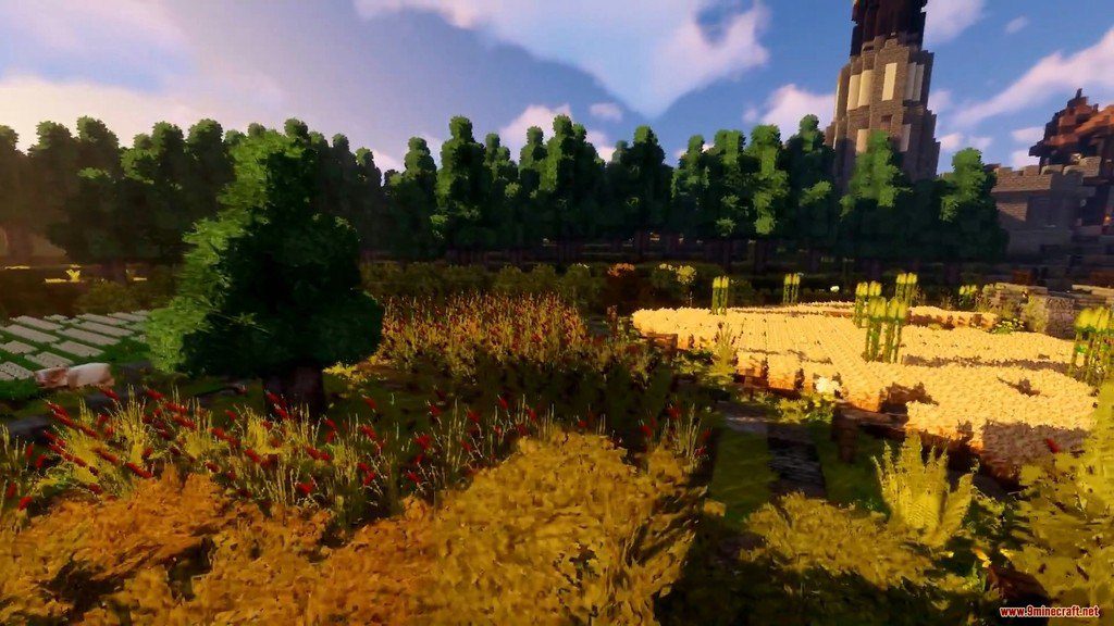 description_2 Winthor Medieval Resource Pack (1.20.4, 1.19.4) - текстур-пак