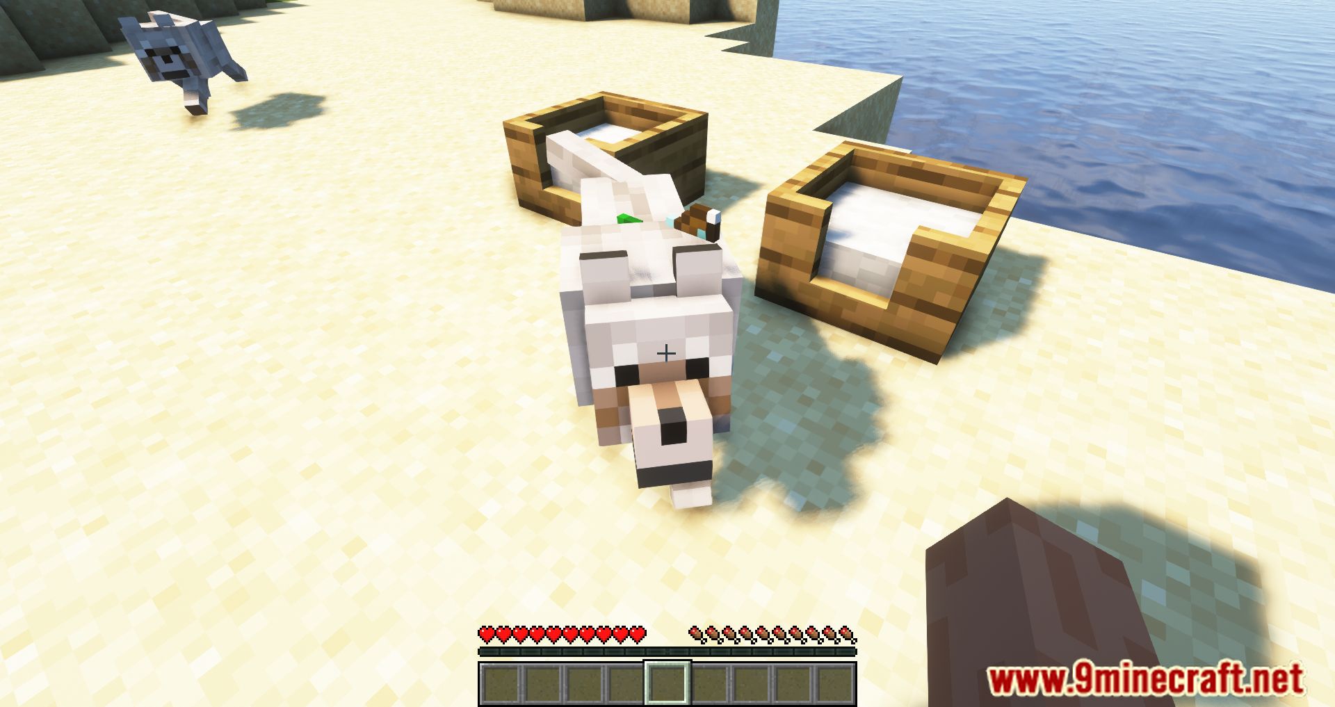 description_2 Doggy Talents Next Mod 1.20.1 - You can train your dog.