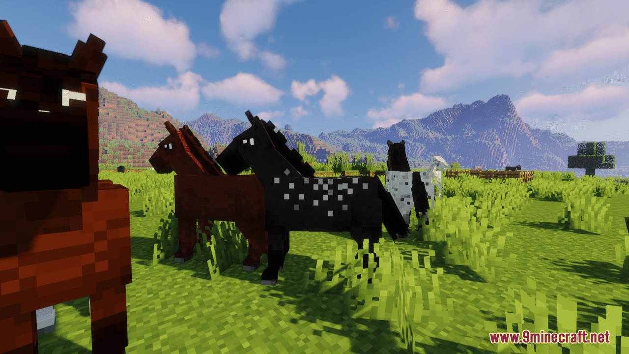 description_1 Better Horses Resource Pack (1.20.4, 1.19.4) - texture pack